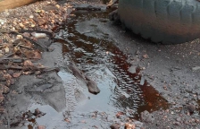 Pencemaran Laut Akibat Limbah PT SWPI di Desa Awunawai, Yapen-Papua