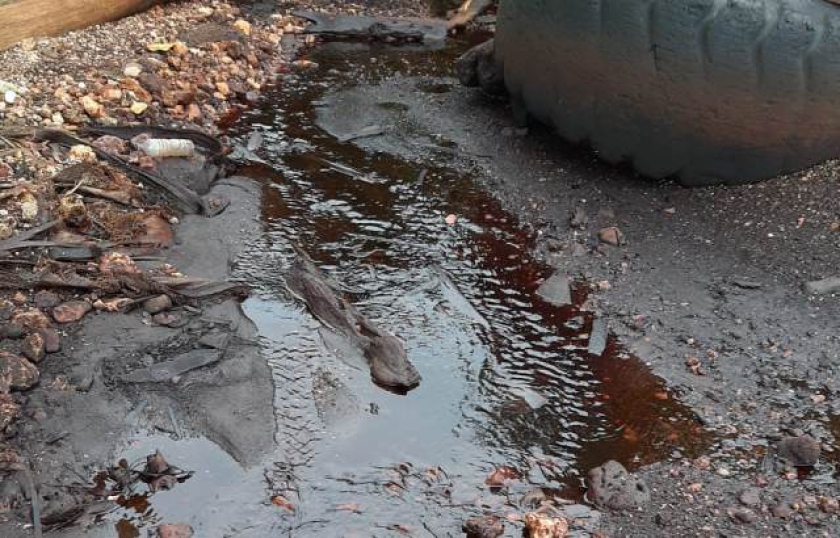 Pencemaran Laut Akibat Limbah PT SWPI di Desa Awunawai, Yapen-Papua