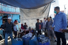 Menteri Kelautan dan Perikanan Edhy Prabowo meninjau aktivitas bongkar muat ikan di Pelabuhan Perikanan Samudera (PPS) Nizam Zachman, Jakarta Utara, Selasa (7/4/2020).