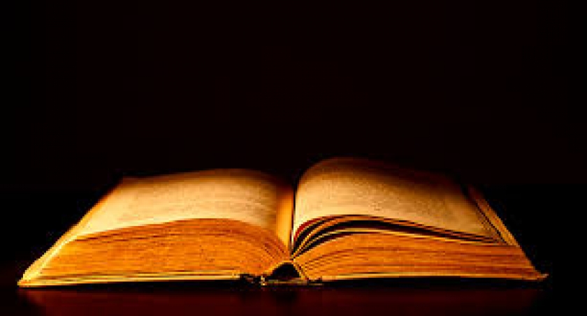 Gambar Ilustrasi (Foto: en.cgs.aau.dk)