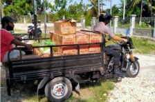 Bhabinkamtibmas Kampung insrom, Bripka Agus Iriansyah, melakukan pengamanan sekaligus membantu penyaluran sembako di  Distrik biak kota, Senin, 11 Mei 2020.