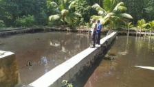 Polsek Biak Timur, Briptu Nico Radil melaksanakan monitoring program ketahanan pangan budidaya kolam ikan air tawar, Senin 8 Juni 2020. 