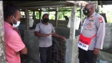 TIM Divisi Humas Polri, meninjau langsung ternak babi yang dikelola oleh Lenius Jikwa, Binaan Binmas Noken Polri di Kyamki Narama Kabupaten Mimika. [Foto : Dok. Humas Polri]