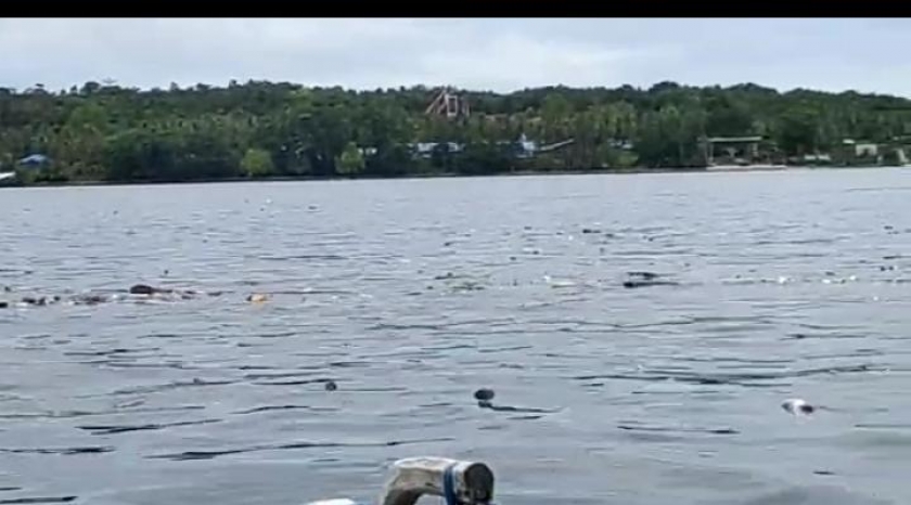 Sampah nampak berserakan di perairan dan pesisir Teluk Sawaibu, Kabupaten Manokwari. [Foto: WRP]