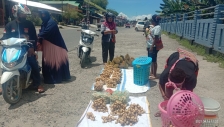 Mama Papua, Ibu Adolpina Masakoda berjualan buah langsat di pinggiran jalan di Bintuni. [Foto: JP/MW]