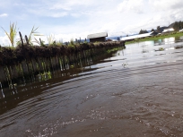 Luapan Danau Paniai yang menggenangi Ugibutu Enarotali Yapkema (Foto-lintaspapua.com)