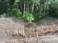 Sungai Nitos di Bintuni Rusak Akibat Pembalakan Hutan dan Pembangunan Jalan. [Foto: JP/MW]