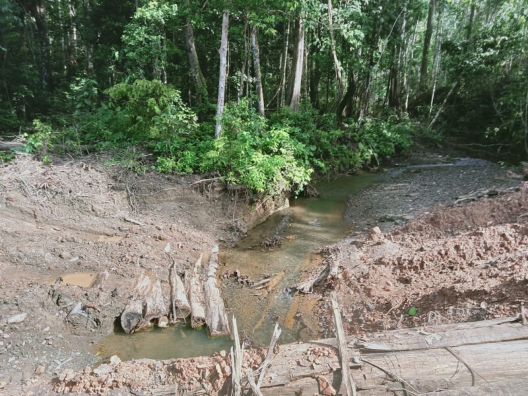 Sungai Nitos di Bintuni Rusak Akibat Pembalakan Hutan dan Pembangunan Jalan. [Foto: JP/MW]