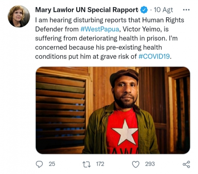 Pelapor Khusus Pembela HAM PBB Soroti Kondisi Victor Yeimo di penjara. [Foto: @MaryLawlorhrds]