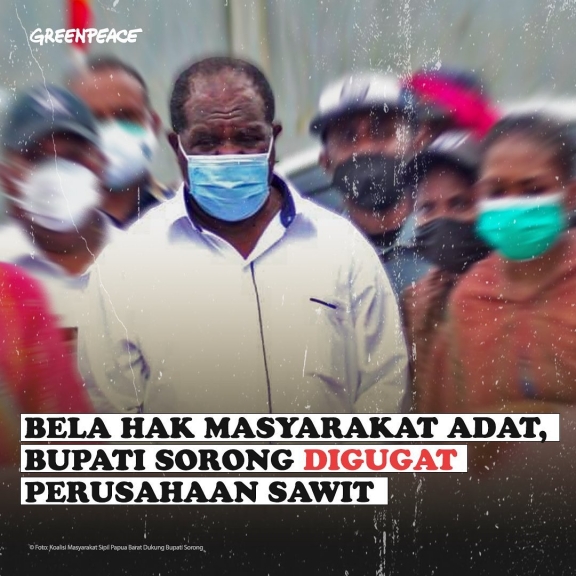 Greenpeace Indonesia Ajak Tanda Tangani Petisi Dukungan Bupati Sorong. [Foto: Greenpeace Indonesia]