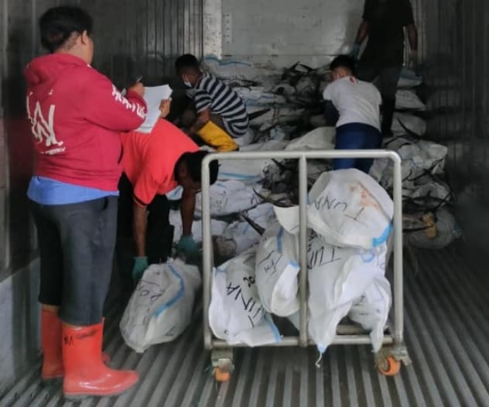 Berdayakan Masyarakat Biak, Puluhan Ton Ikan Tuna Mulai Diekspor. [Foto: Humas Pemkab Biak Numfor]