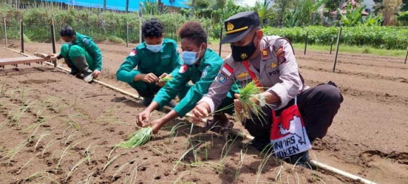 Kasat Binmas Ajari Siswa SMK Praktik Menanam Bawang Merah. [Foto: Polres Merauke]
