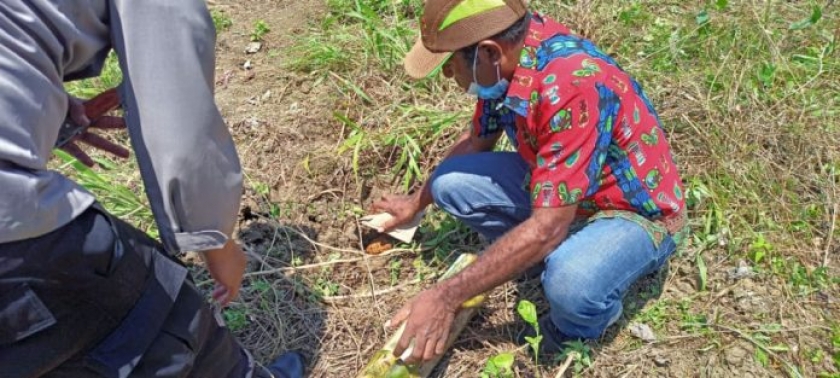 Sebuah Granat Perang Berhasil Diamankan di Sarmi Papua. [Foto: Polres Sarmi]