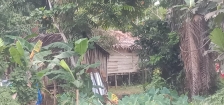 Tempat Tinggal Masyarakat Kampung Waroki Nabire.