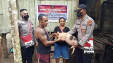Peduli Kesejahteraan Binmas Noken Yapen Beri Bantuan Hewan Ternak Kepada Eks KKB.  [Foto: Polda Papua]