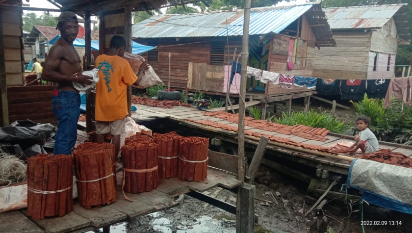 Penjualan Kulit Bakau Beri Berkah Warga Bintuni Saat Pendemi Covid-19. [Foto: MW]