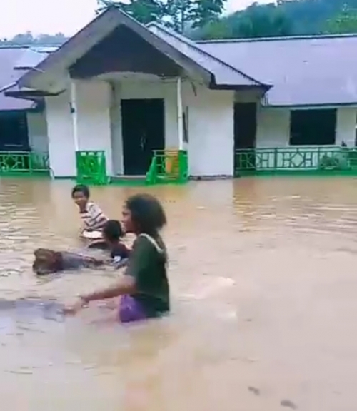 Warga Kampung Idoor menaiki sebatang pohon menuju tempat yang lebih tinggi melintasi bangunan Idoor yang berbentuk rumah panggung. [Foto: MW]