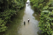 Banjir menggenangi jalan Trans Papua Barat yang menghubungkan Kabupaten Fakfak dan Teluk Bintuni. [Foto: Penram Jazirah Onim]