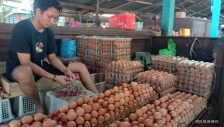 Harga Telur dan Daging Ayam di Bintuni Stabil. [Foto: MW]
