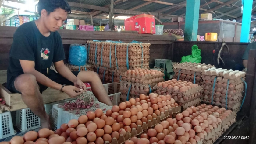 Harga Telur dan Daging Ayam di Bintuni Stabil. [Foto: MW]