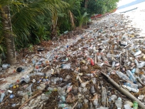 Sampah Buangan Kota Manokwari Banjiri Pesisir Pulau Musmapi. [Foto: ist]