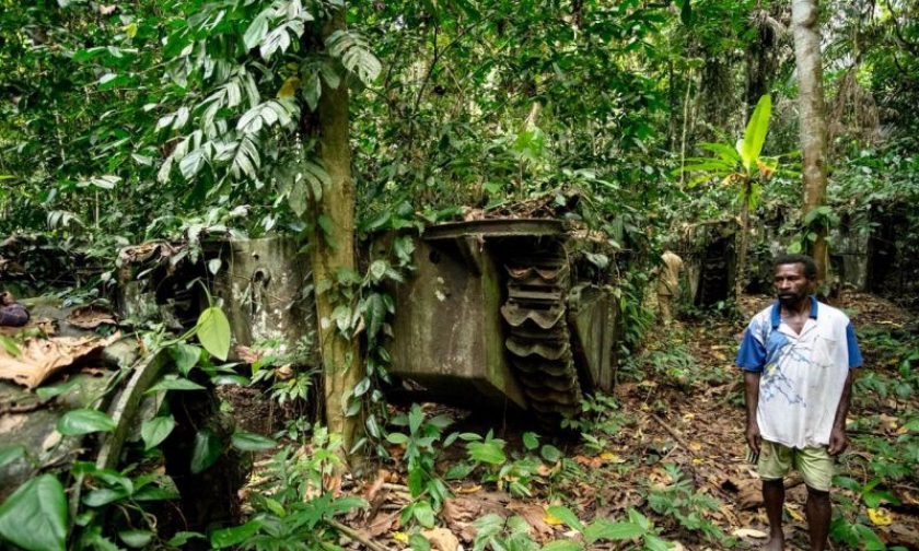 Hutan Papua. (Foto/arah.co.id)